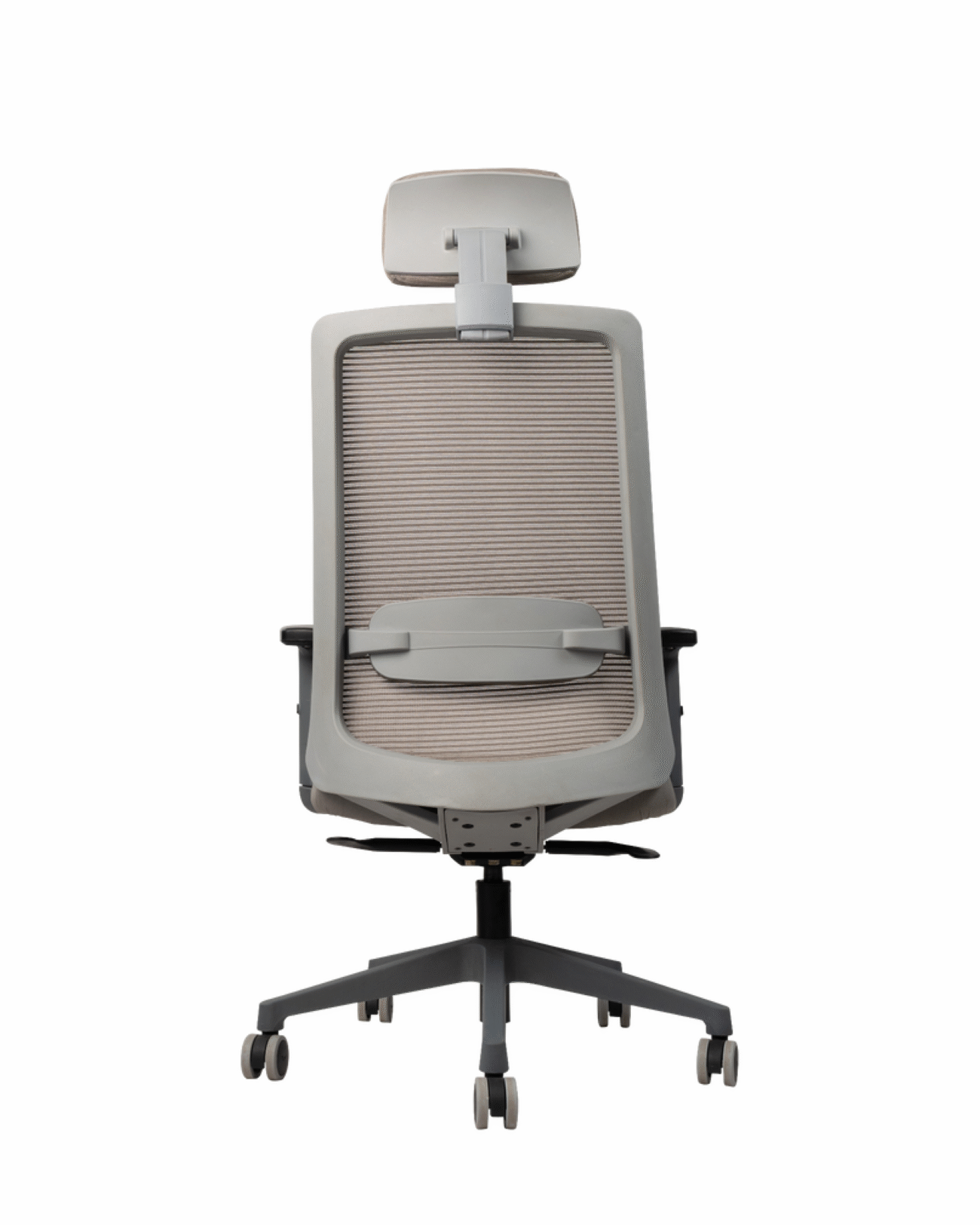 RC HILITER - Image 3