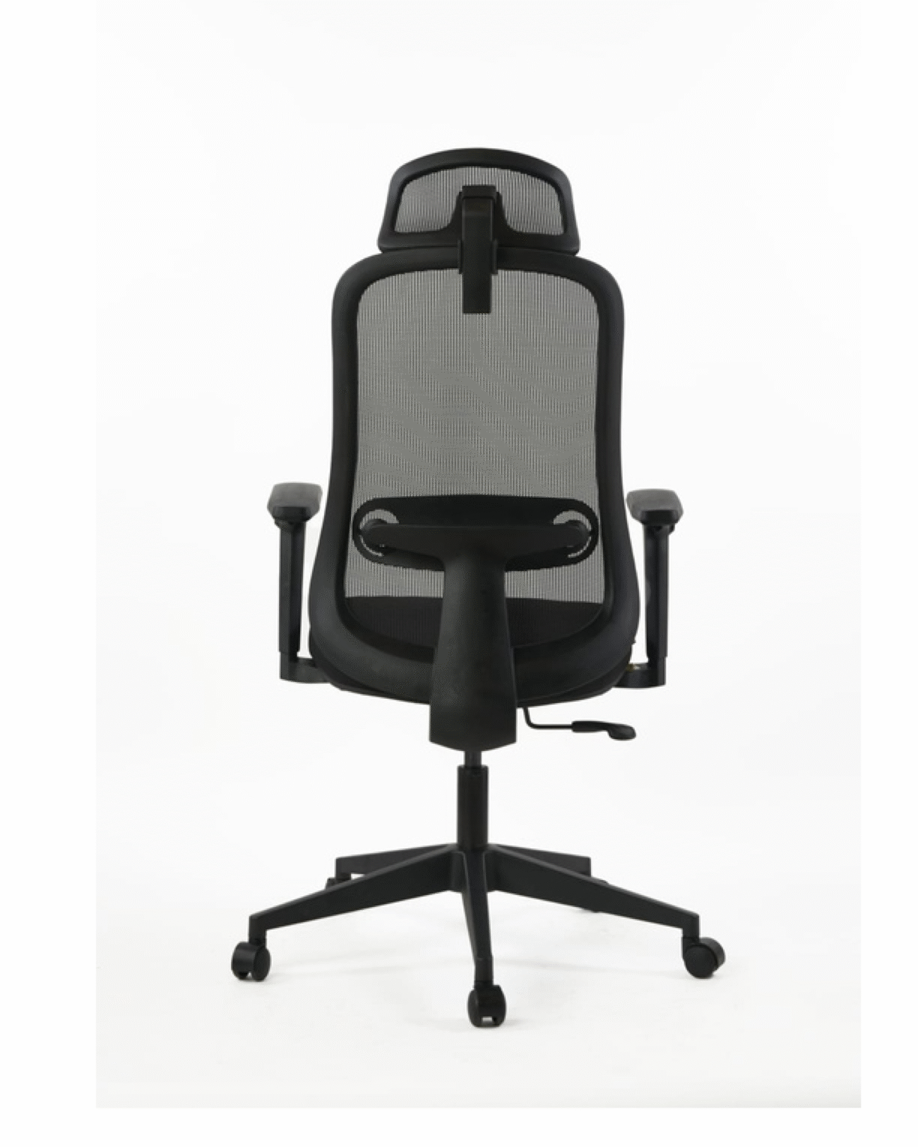 RC ZOOM - Image 2